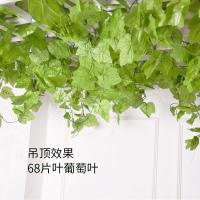 uploads/erp/collection/images/Home Garden/CongDing/XU0610922/img_b/XU0610922_img_b_5